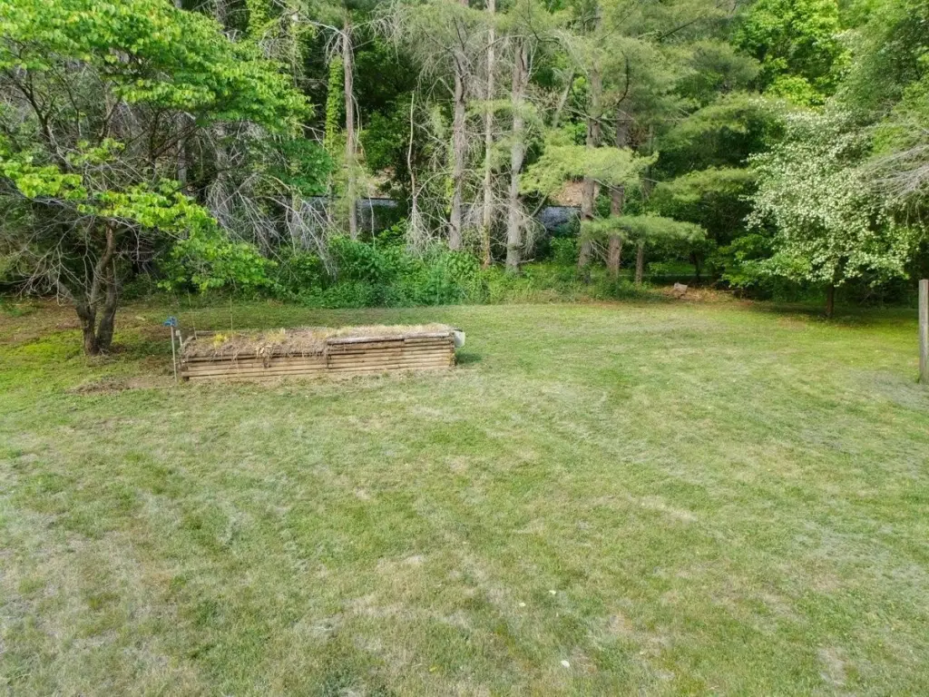 Picture 14