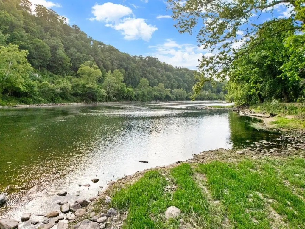 Picture 18