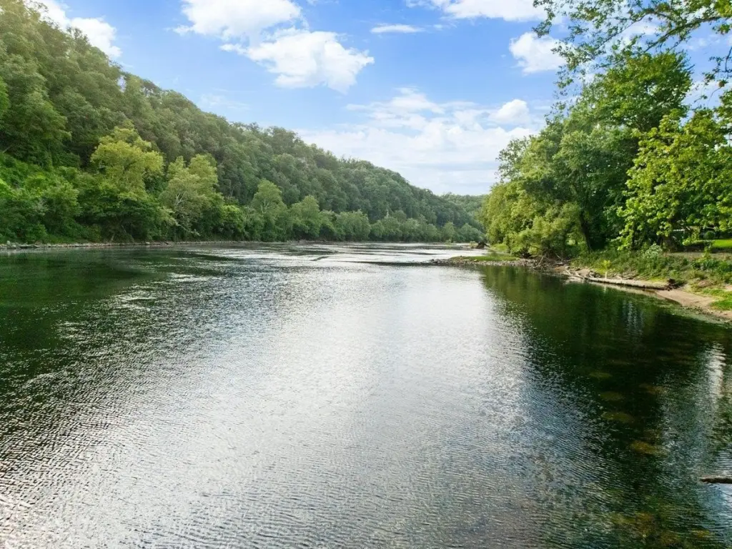 Picture 19