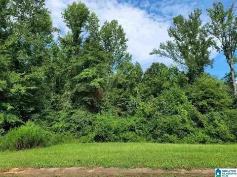 Residential Lot in Pell City