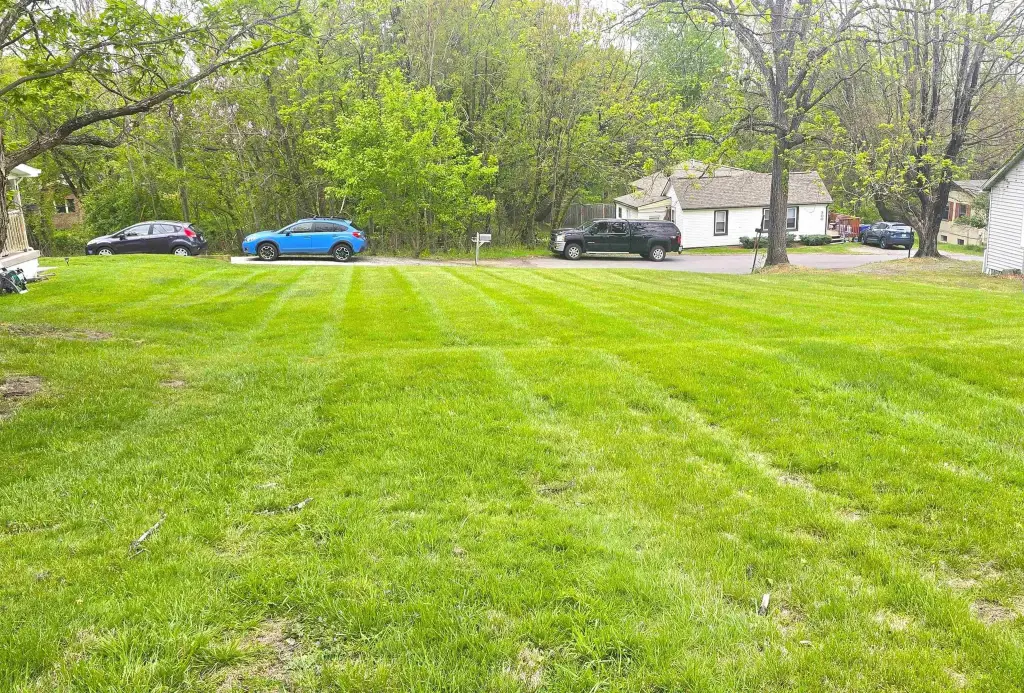Picture 11
