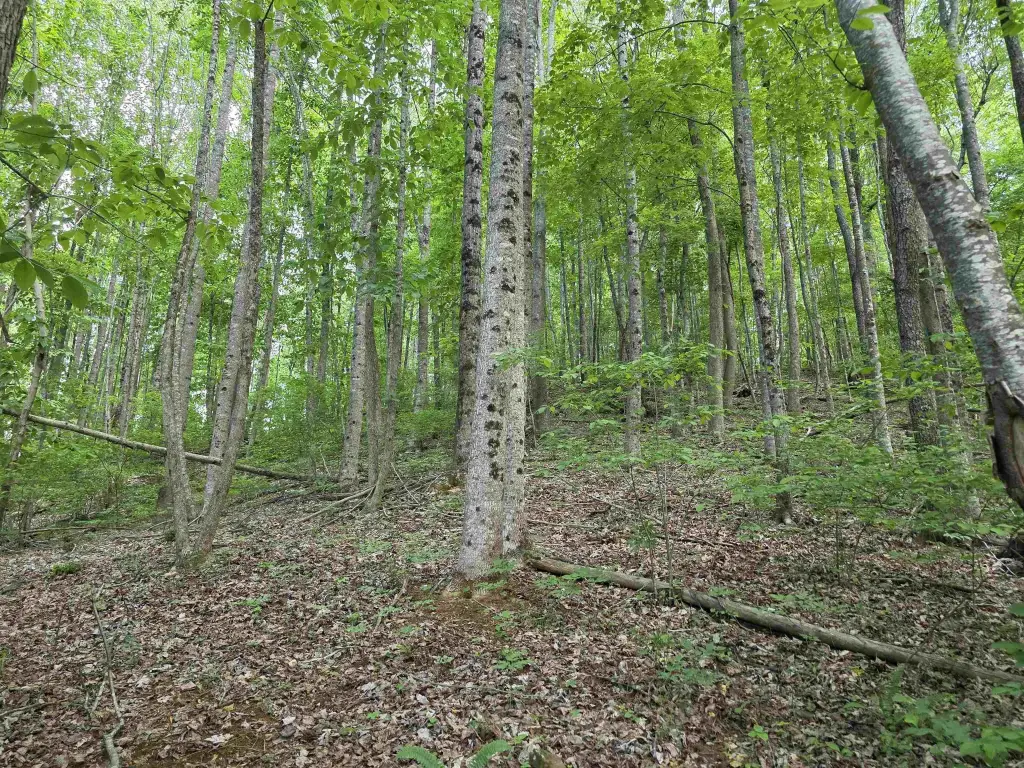 Picture 6