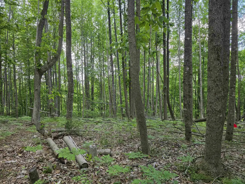 Picture 11