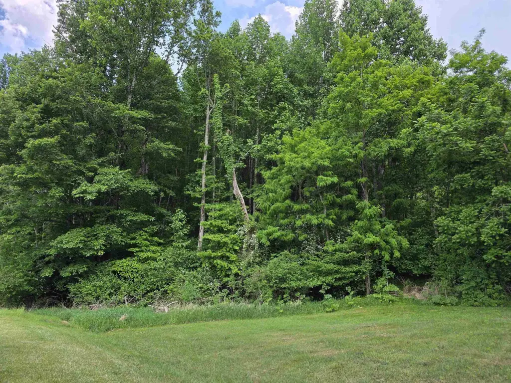 Picture 3