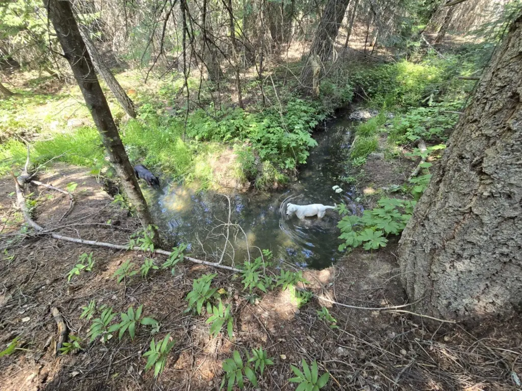 Picture 17