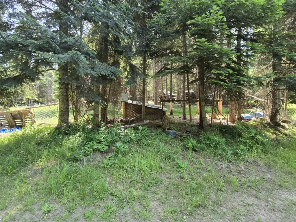 Picture 29