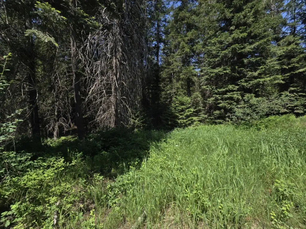 Picture 24
