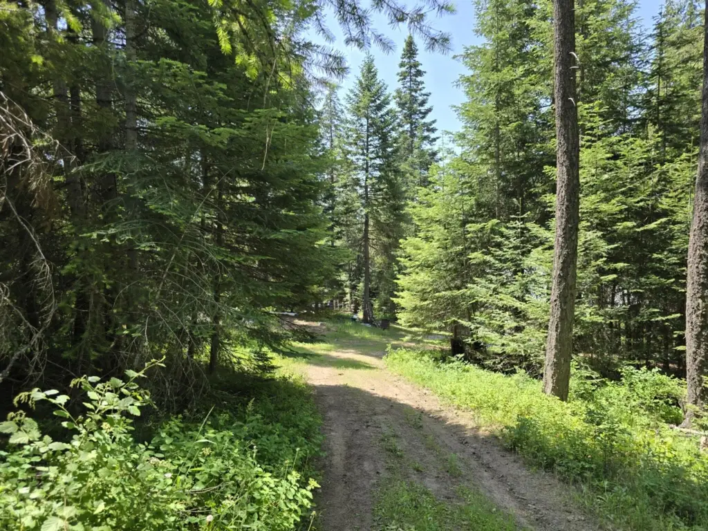 Picture 38