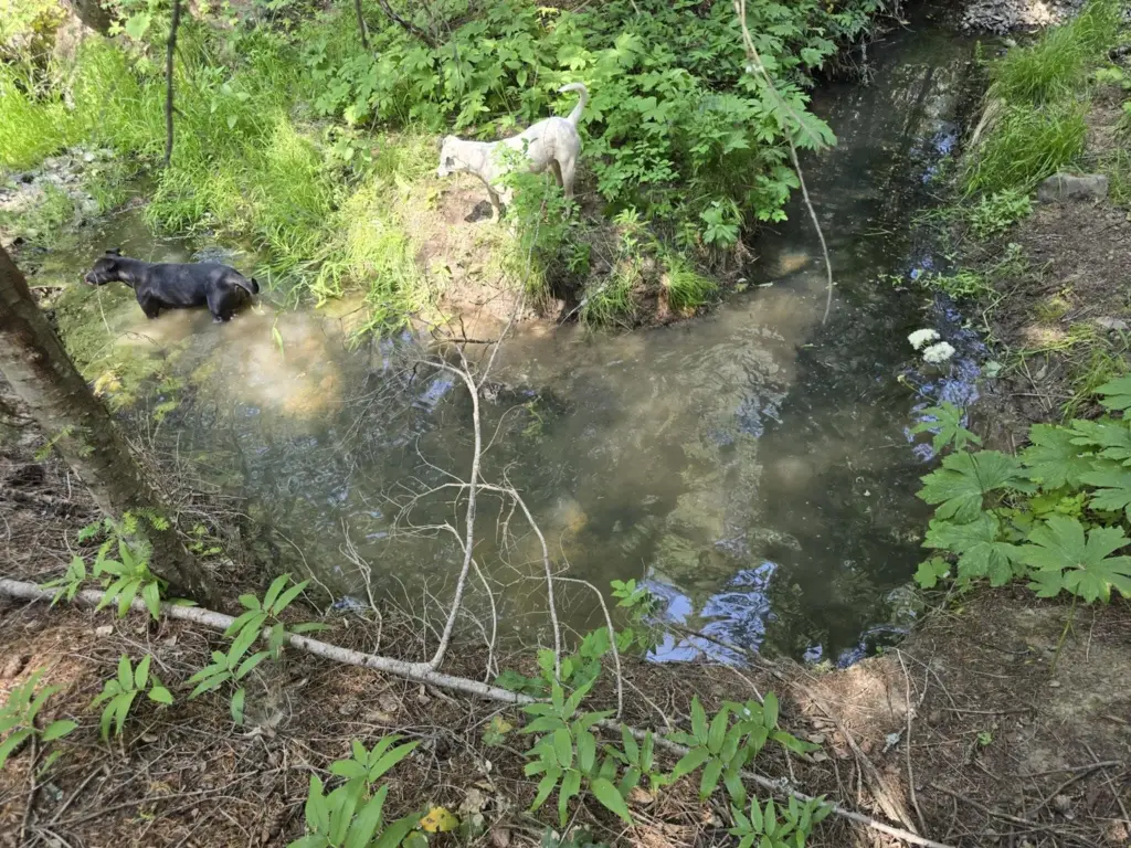 Picture 18