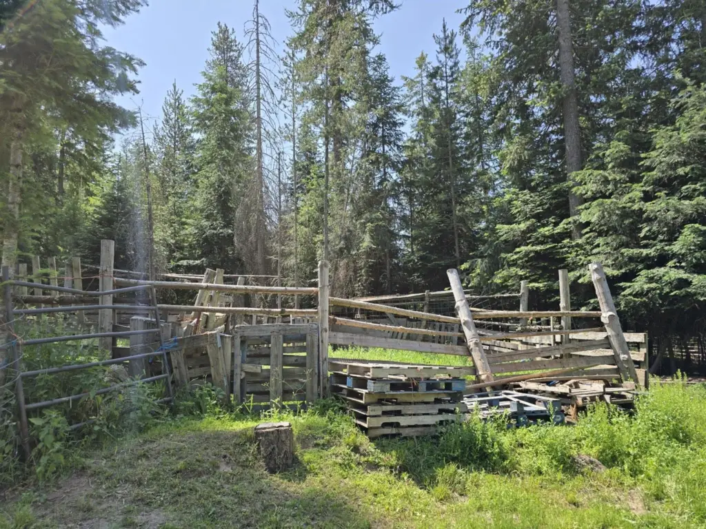 Picture 30