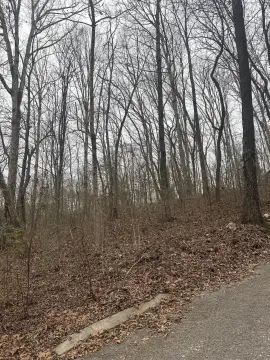 Dunlap, TN Wooded Building Lot