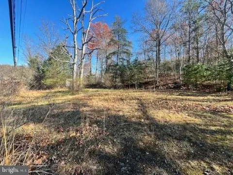 Wooded Acre Lot in Winchester
