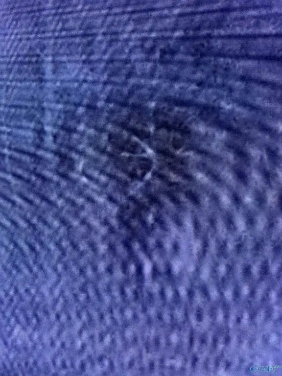 Picture 25