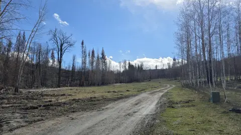 20 Acres in Colville, WA