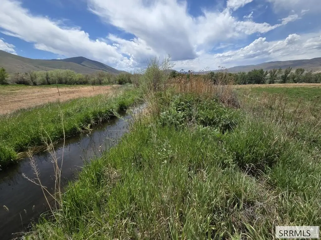 Picture 19