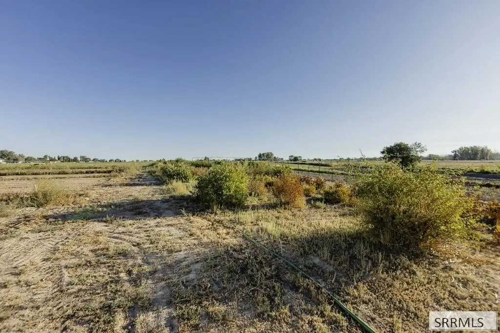 Picture 28