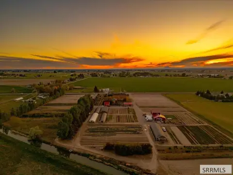 Flower Farm with Greenhouses