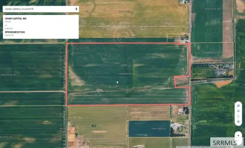 Irrigated Farmland