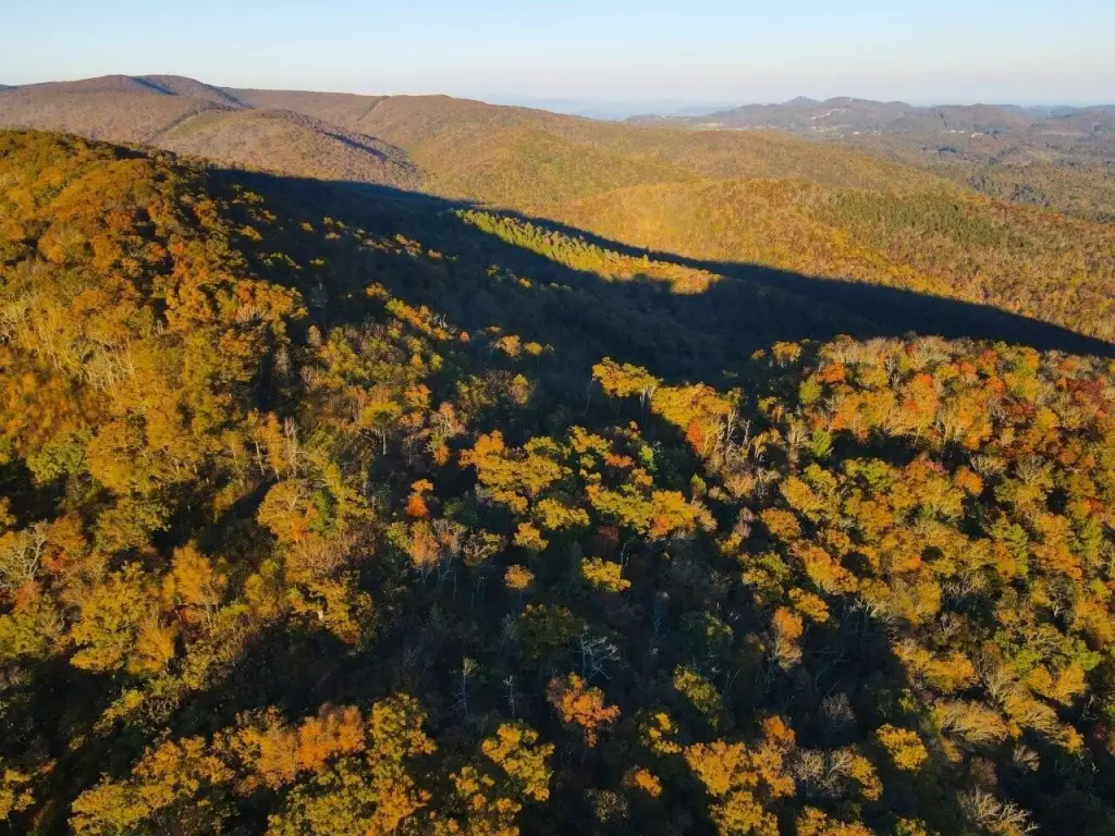 Picture 13