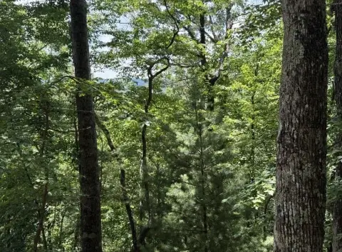 Gated Mountain Resort Homesite