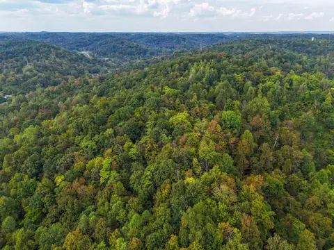 Hunting Land with Timber