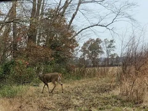 Enfield, IL Vacant Land