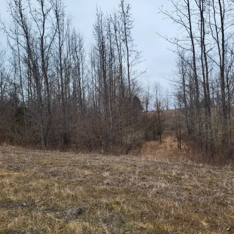 Picture 38