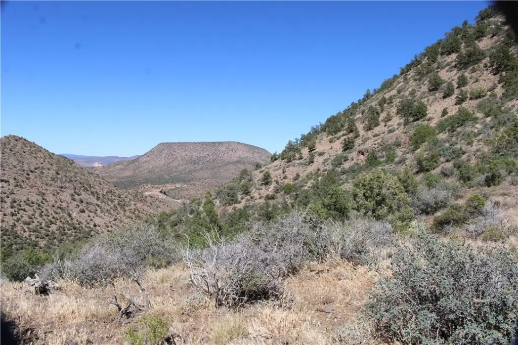 Picture 23