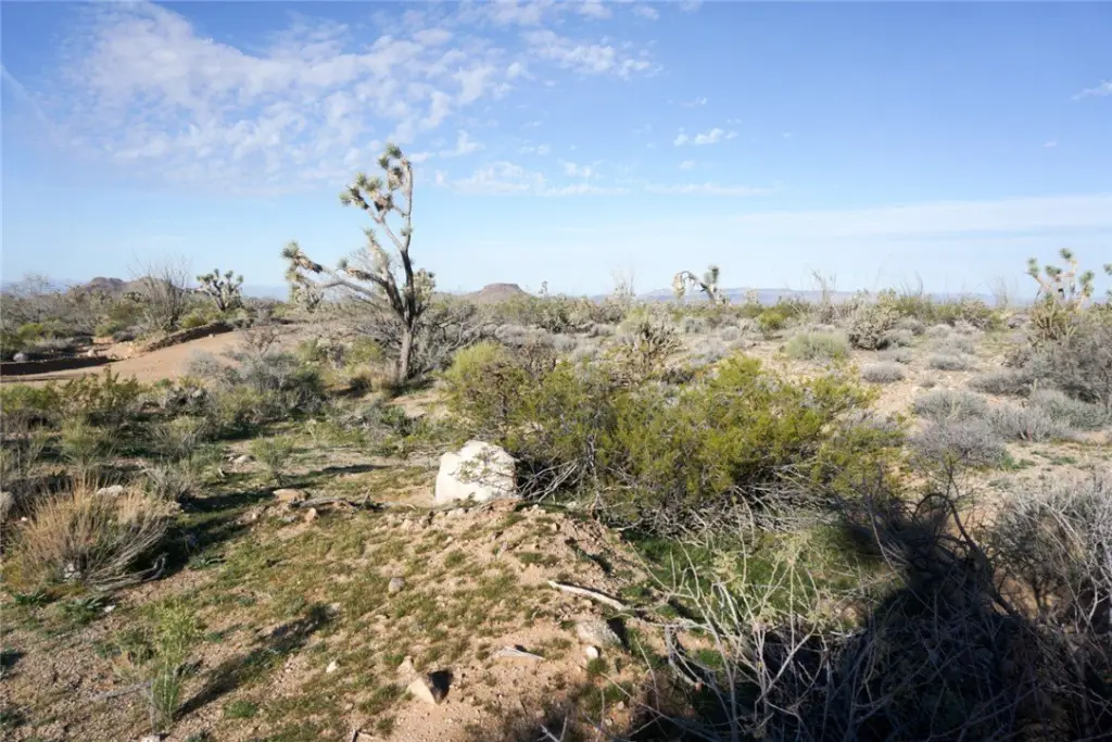 Picture 17