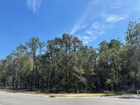 Residential Lot in Deer Moss Creek