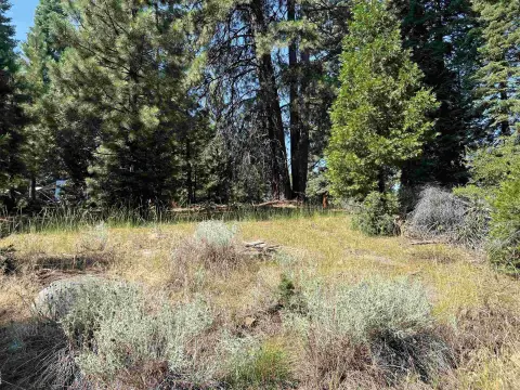 Lake Almanor Land Opportunity