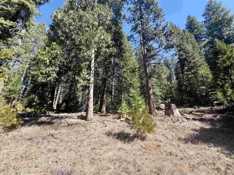 Lake Almanor Land For Sale
