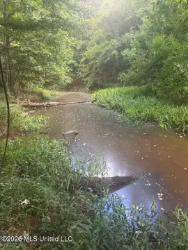 Wooded Land Tract Along Stream