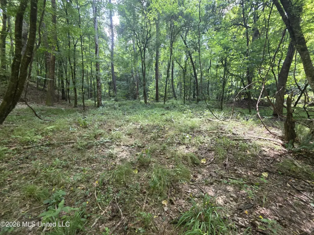 Picture 16