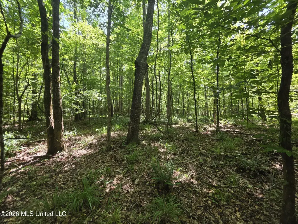 Picture 31