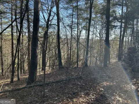 40 Acres in North Georgia