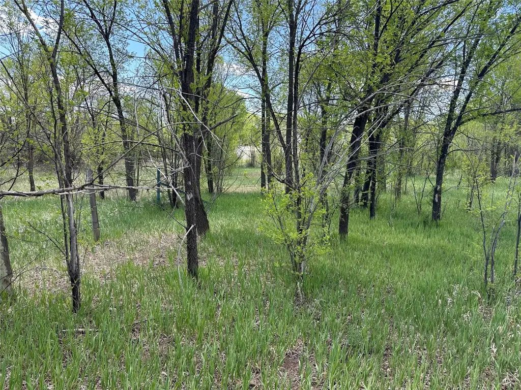 Picture 3