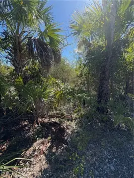 5 Acre Parcel Near Naples