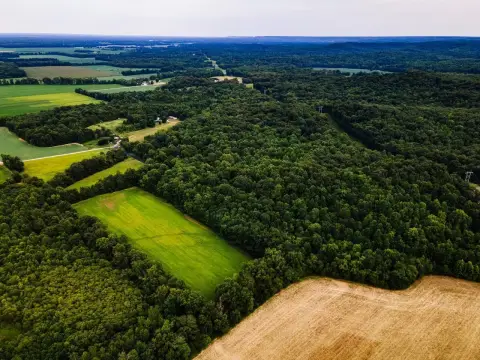 Wooded Recreational Land with Utilities