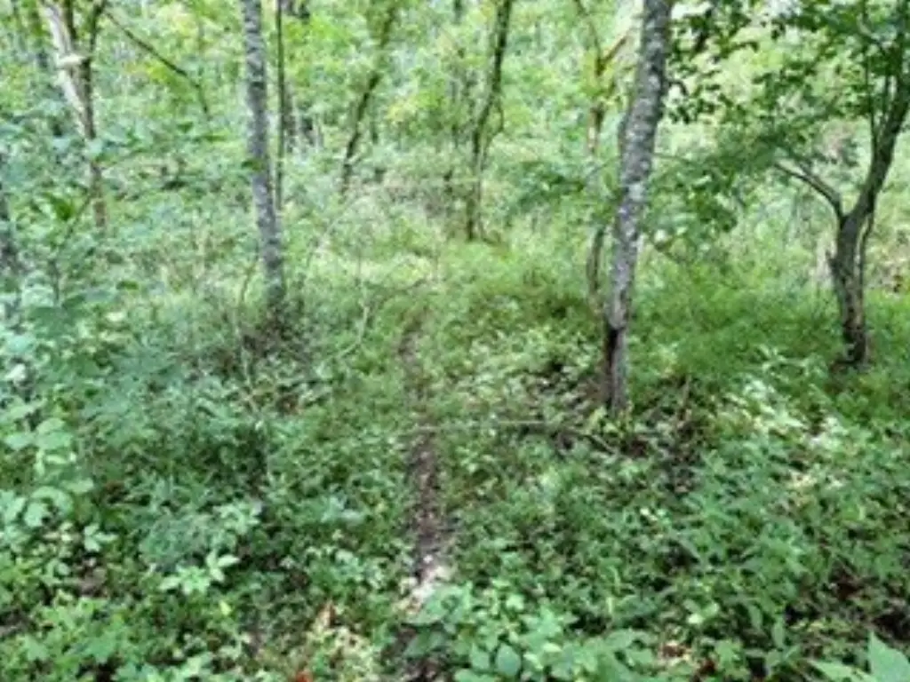 Picture 19