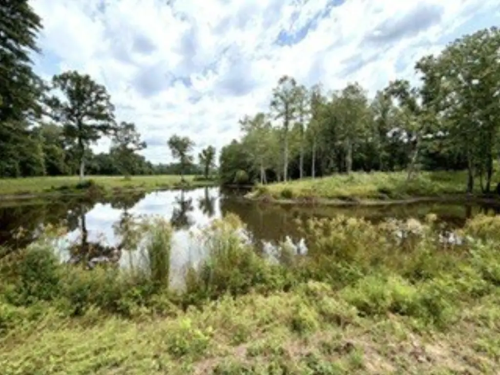 Picture 30