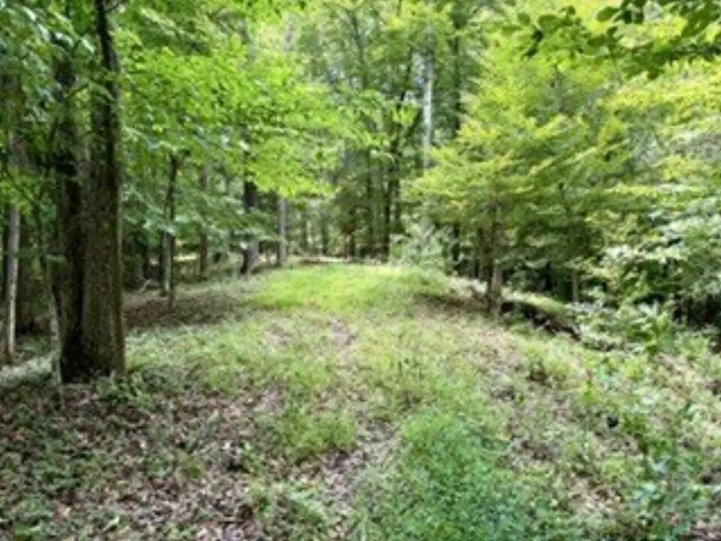 Picture 39