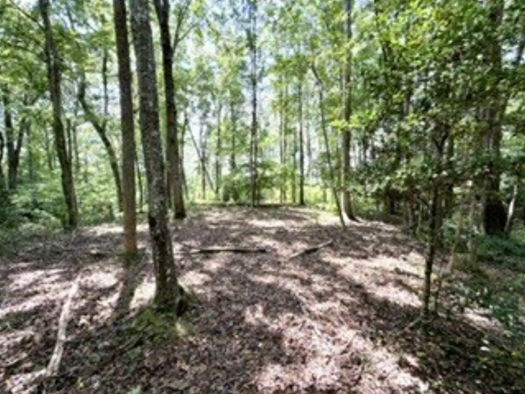 Picture 42