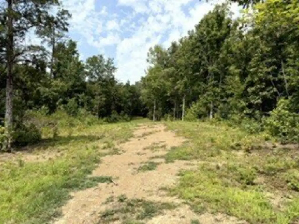Picture 14