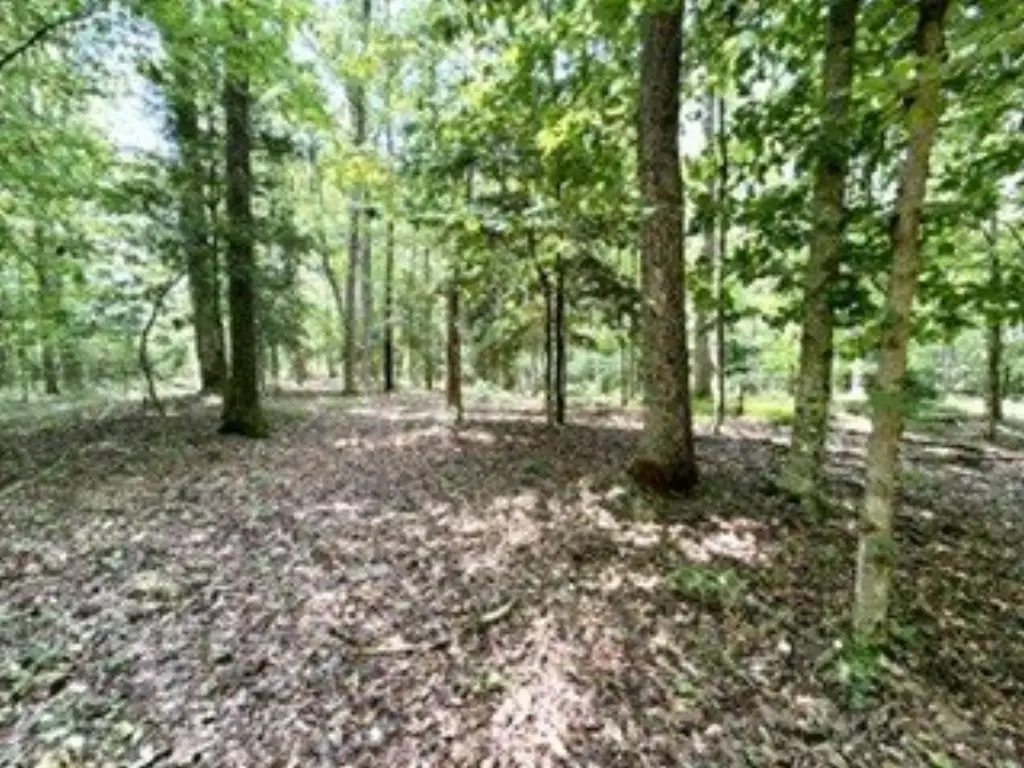 Picture 41