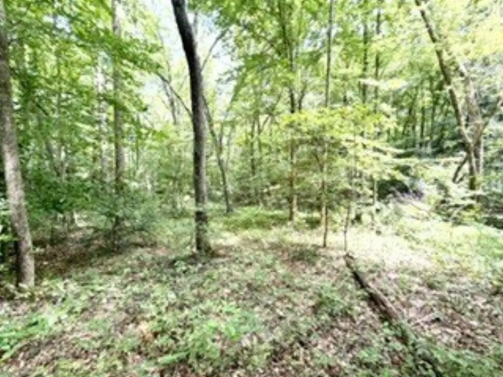 Picture 28
