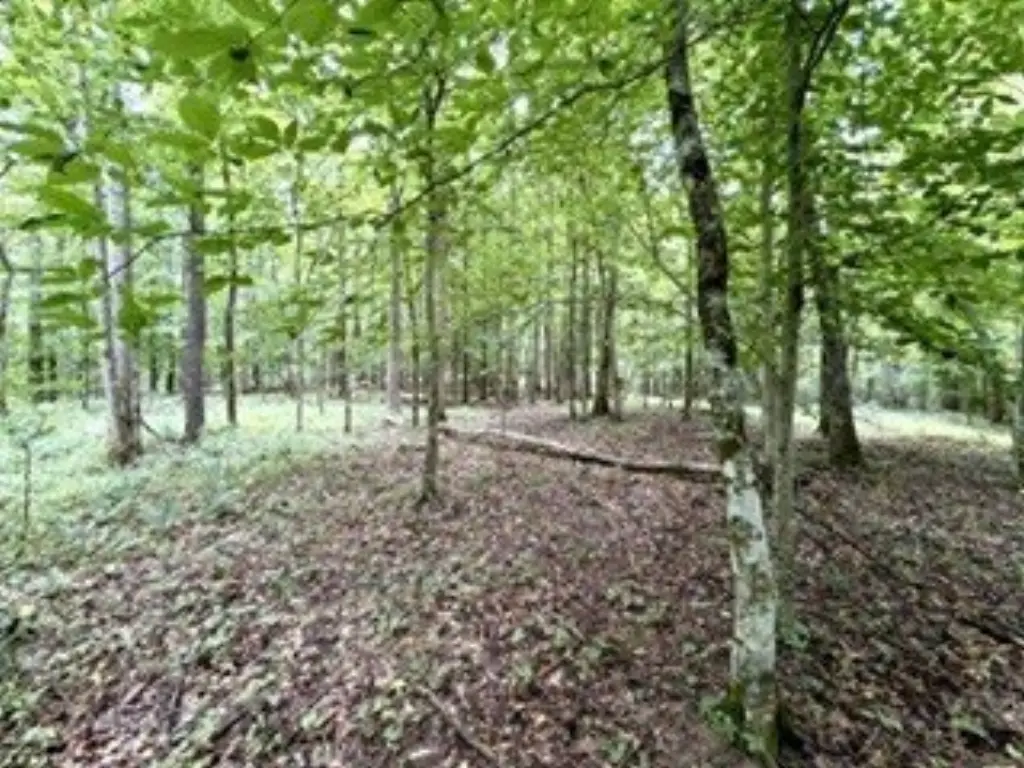 Picture 23