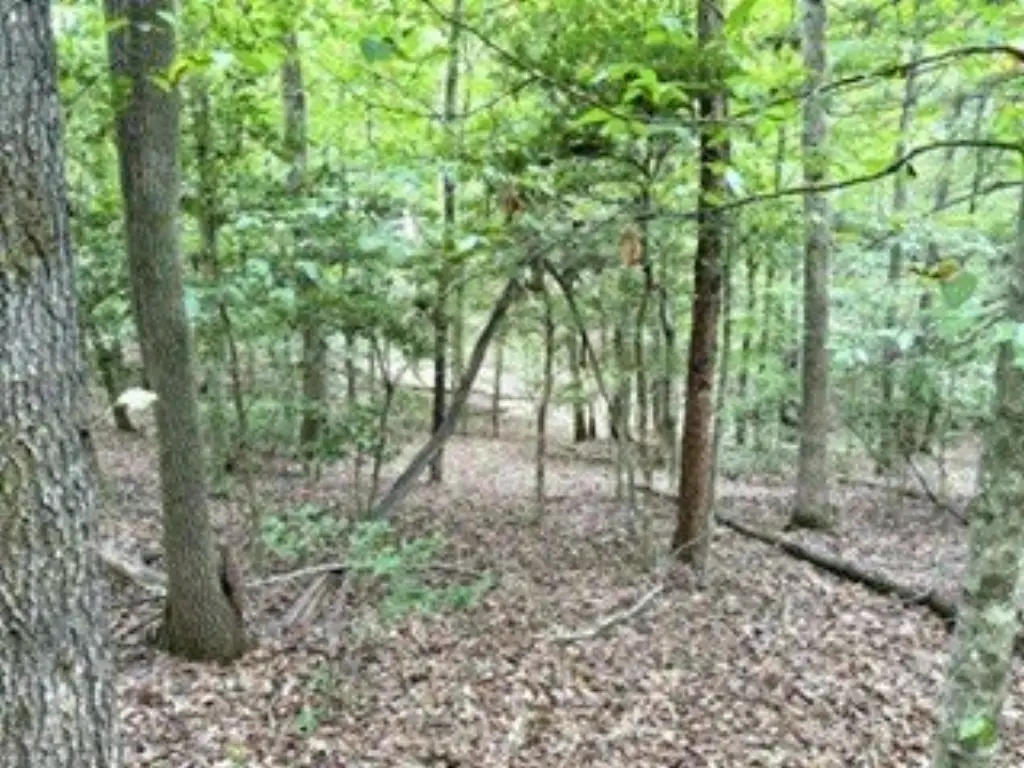 Picture 34