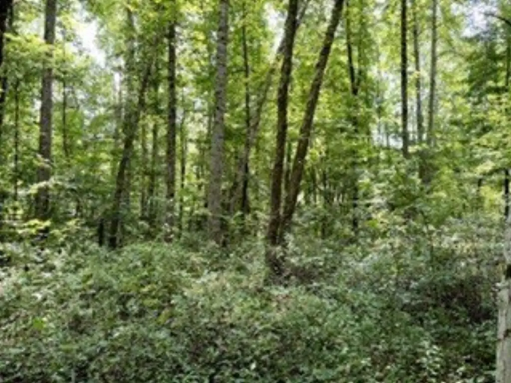 Picture 20