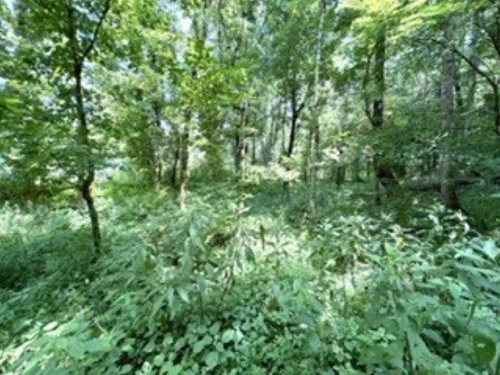 Picture 24